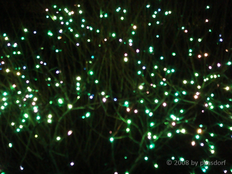 004 Toledo Zoo Light Show [2008 Dec 27].JPG - Scenes from the Toledo Zoo Light Show.